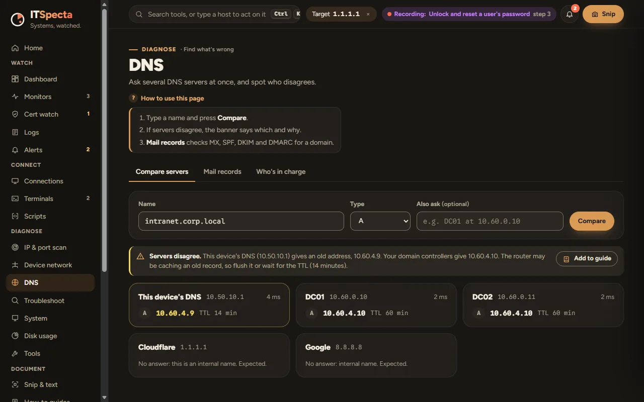 The DNS page comparing the same name across several DNS servers