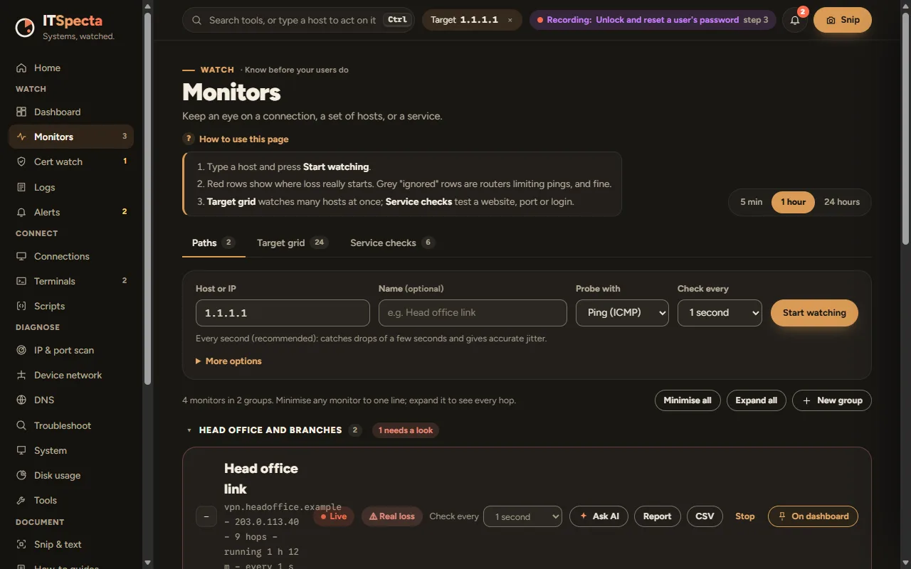 The Monitors page, with a host being watched every second and a group of monitors, one marked as real loss